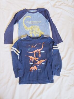 Boys Size 6 Long-Sleeve Dinosaur Graphic Shirts